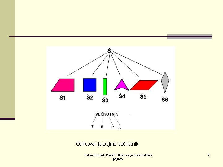  Oblikovanje pojma večkotnik Tatjana Hodnik Čadež: Oblikovanje matematičnih pojmov 7 