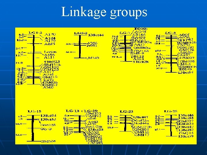 Linkage groups 