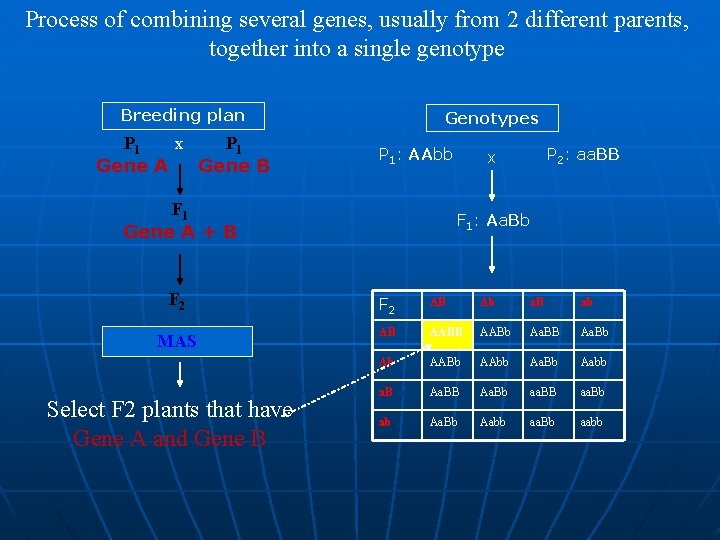 Process of combining several genes, usually from 2 different parents, together into a single