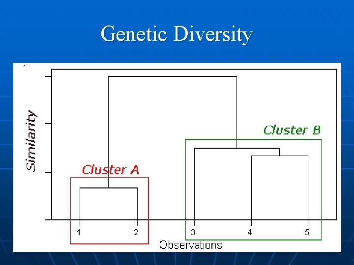 Genetic Diversity 
