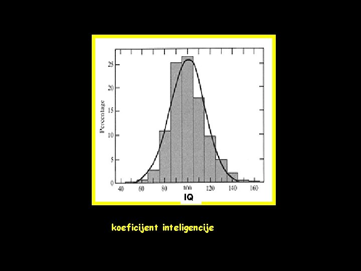 IQ koeficijent inteligencije 