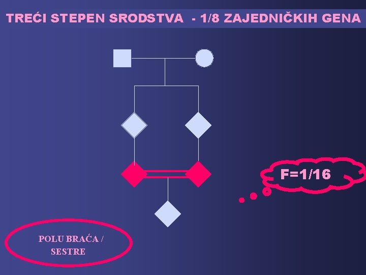 TREĆI STEPEN SRODSTVA - 1/8 ZAJEDNIČKIH GENA F=1/16 POLU BRAĆA / SESTRE 