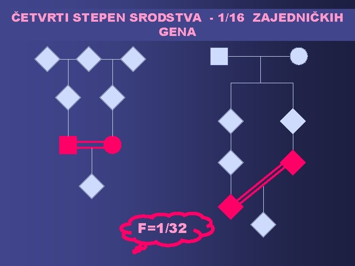 ČETVRTI STEPEN SRODSTVA - 1/16 ZAJEDNIČKIH GENA F=1/32 