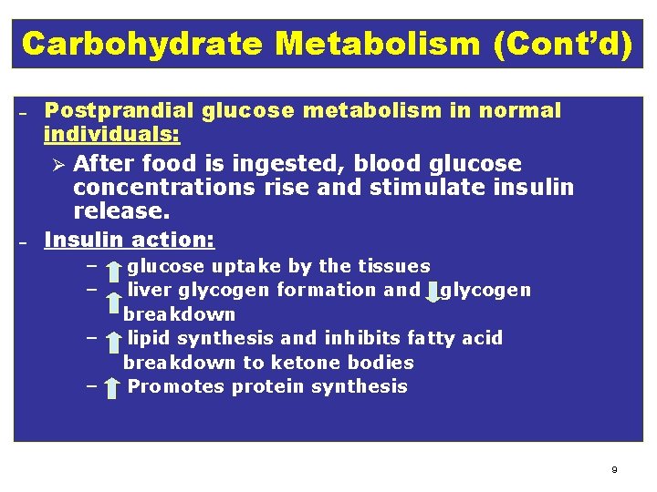 Carbohydrate Metabolism (Cont’d) – – Postprandial glucose metabolism in normal individuals: Ø After food