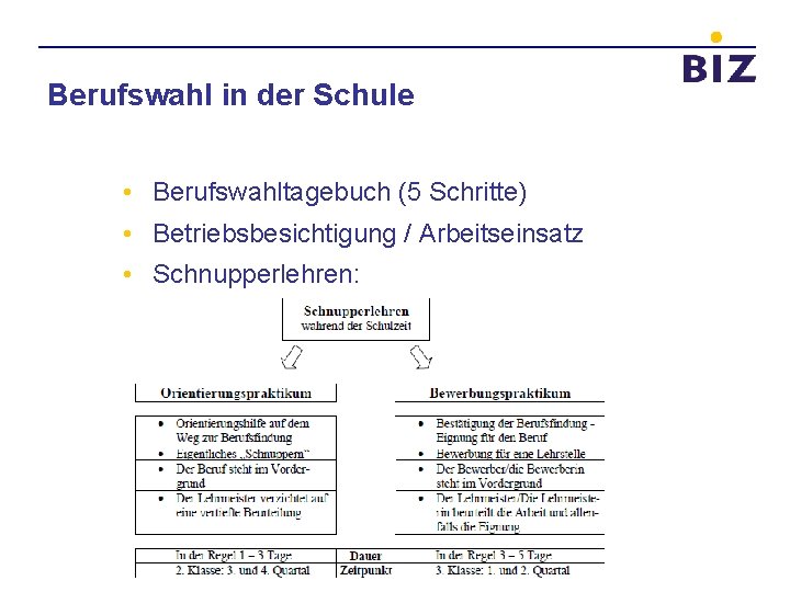 Berufswahl in der Schule • Berufswahltagebuch (5 Schritte) • Betriebsbesichtigung / Arbeitseinsatz • Schnupperlehren: