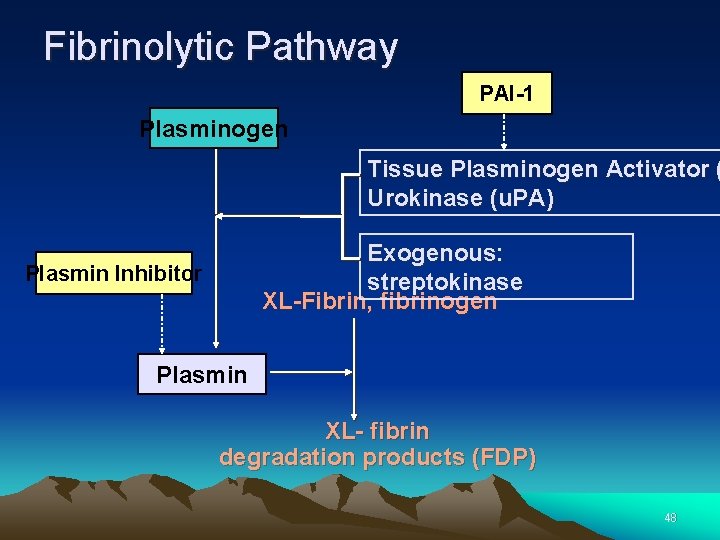 Fibrinolytic Pathway PAI-1 Plasminogen Tissue Plasminogen Activator ( Urokinase (u. PA) Exogenous: streptokinase XL-Fibrin,