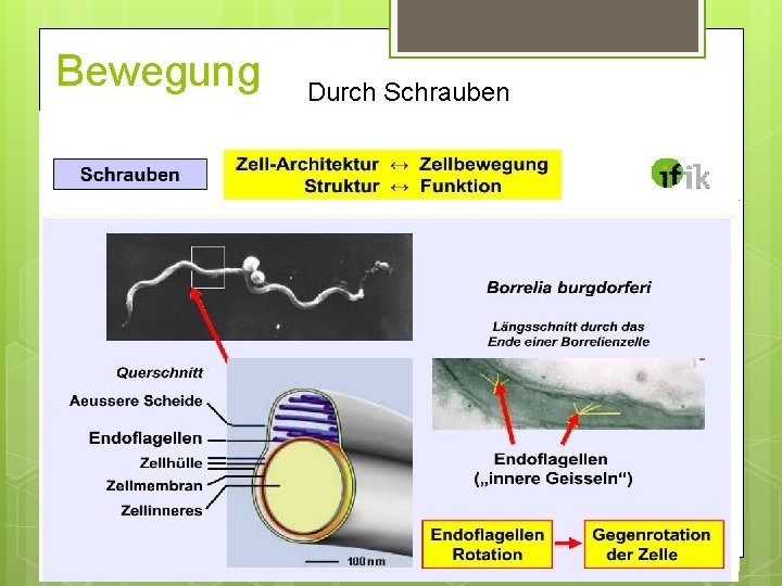 Bewegung Durch Schrauben Bewegung Durch Schrauben