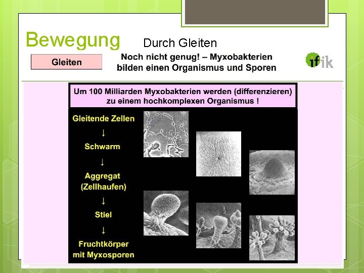 Bewegung Mechanismus Durch Gleiten nicht völlig geklärt http: //www. youtube. com/watch? v=A 25 o. Bewegung Mechanismus Durch Gleiten nicht völlig geklärt http: //www. youtube. com/watch? v=A 25 o.