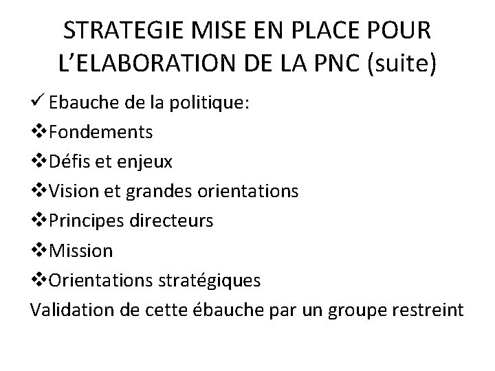 STRATEGIE MISE EN PLACE POUR L’ELABORATION DE LA PNC (suite) ü Ebauche de la