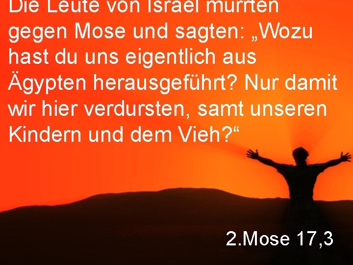 Die Leute von Israel murrten gegen Mose und sagten: „Wozu hast du uns eigentlich