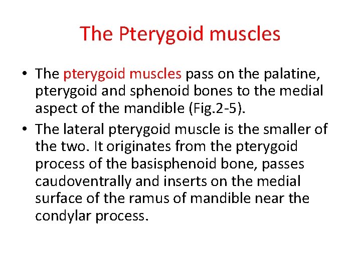 The Pterygoid muscles • The pterygoid muscles pass on the palatine, pterygoid and sphenoid