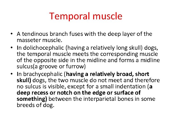 Temporal muscle • A tendinous branch fuses with the deep layer of the masseter