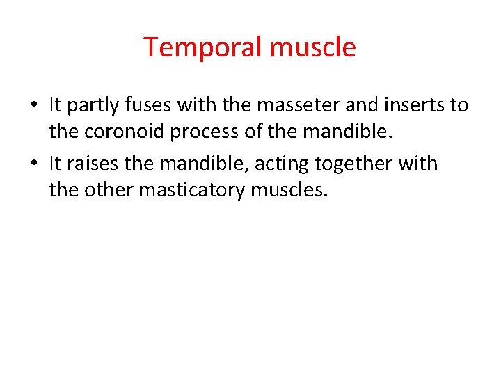 Temporal muscle • It partly fuses with the masseter and inserts to the coronoid