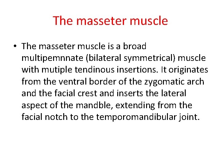 The masseter muscle • The masseter muscle is a broad multipemnnate (bilateral symmetrical) muscle