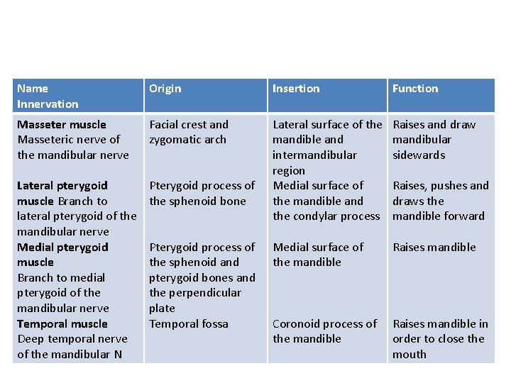 Name Innervation Origin Insertion Function Masseter muscle Masseteric nerve of the mandibular nerve Facial