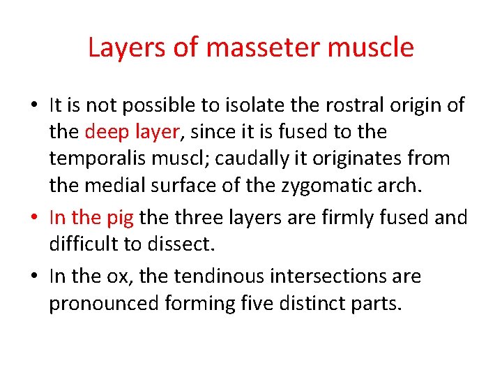 Layers of masseter muscle • It is not possible to isolate the rostral origin