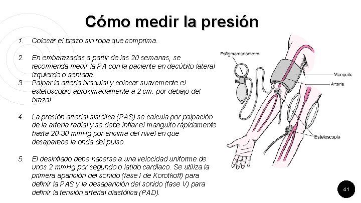 Cómo medir la presión 1. Colocar el brazo sin ropa que comprima. 2. En