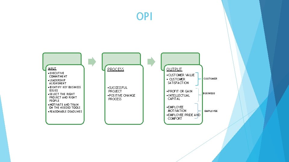 OPI INPUT • EXECUTIVE COMMITMENT • LEADERSHIP ALIGNEMENT • IDENTIFY KEY BUSINESS ISSUES •
