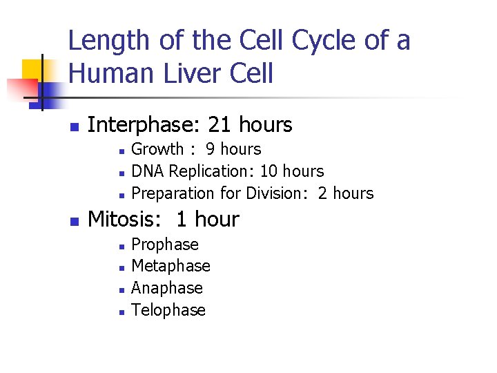 Length of the Cell Cycle of a Human Liver Cell n Interphase: 21 hours