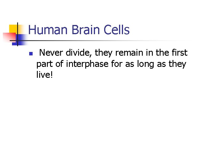 Human Brain Cells n Never divide, they remain in the first part of interphase