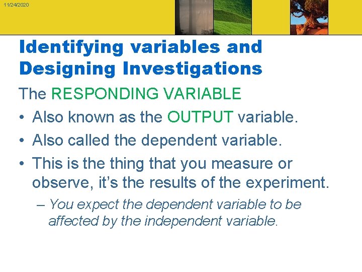 11/24/2020 Identifying variables and Designing Investigations The RESPONDING VARIABLE • Also known as the