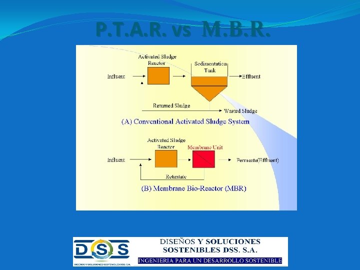 P. T. A. R. vs M. B. R. 