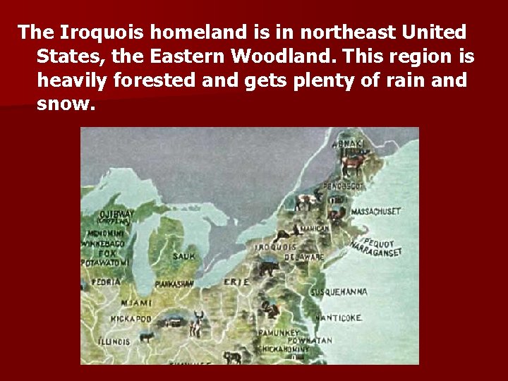 The Iroquois homeland is in northeast United States, the Eastern Woodland. This region is