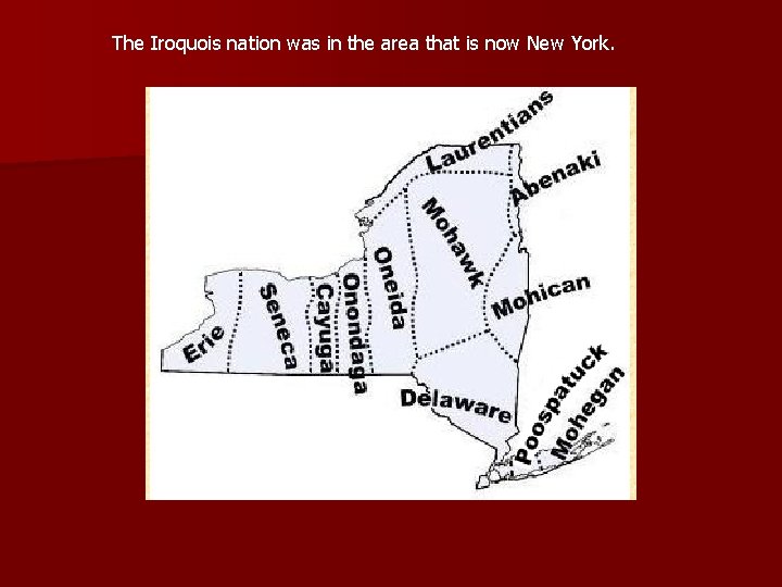 The Iroquois nation was in the area that is now New York. 