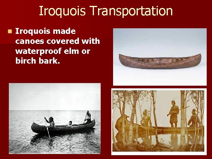 Iroquois Transportation n Iroquois made canoes covered with waterproof elm or birch bark. 