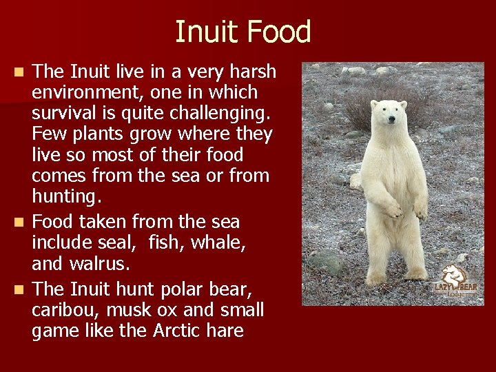 Inuit Food The Inuit live in a very harsh environment, one in which survival