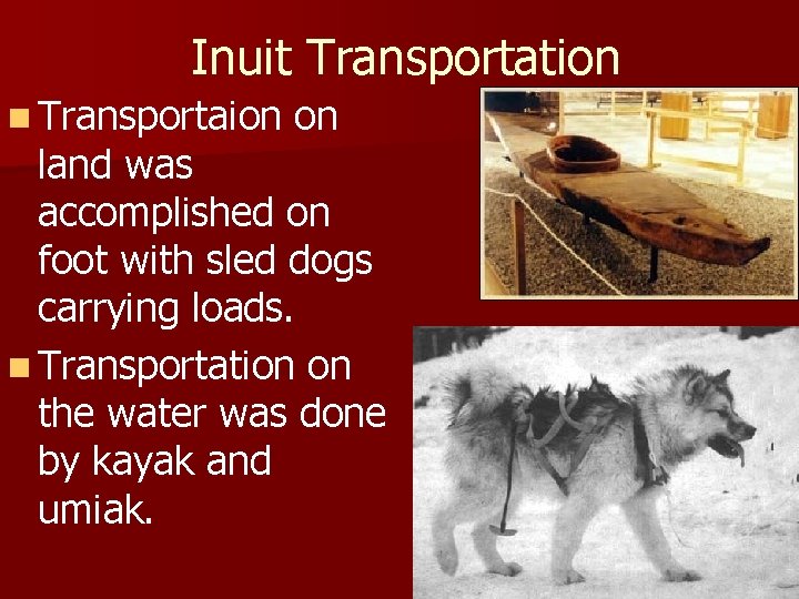 Inuit Transportation n Transportaion on land was accomplished on foot with sled dogs carrying
