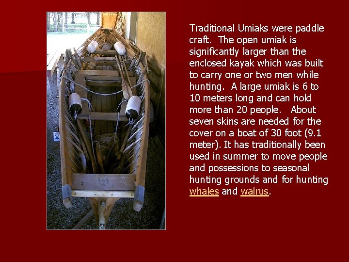Traditional Umiaks were paddle craft. The open umiak is significantly larger than the enclosed