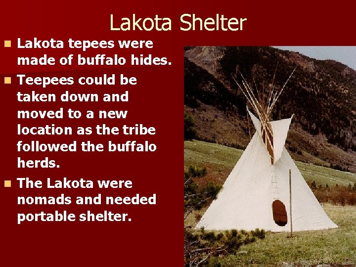 Lakota Shelter n n n Lakota tepees were made of buffalo hides. Teepees could