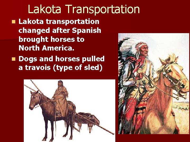 Lakota Transportation Lakota transportation changed after Spanish brought horses to North America. n Dogs