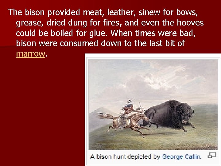The bison provided meat, leather, sinew for bows, grease, dried dung for fires, and