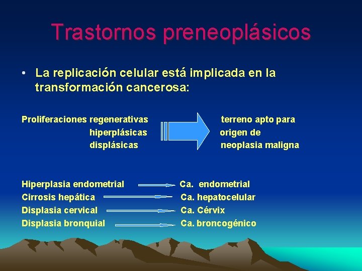 Trastornos preneoplásicos • La replicación celular está implicada en la transformación cancerosa: Proliferaciones regenerativas