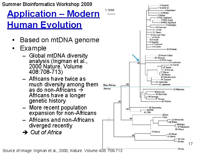 Summer Bioinformatics Workshop 2008 Application – Modern Human Evolution • Based on mt. DNA Summer Bioinformatics Workshop 2008 Application – Modern Human Evolution • Based on mt. DNA