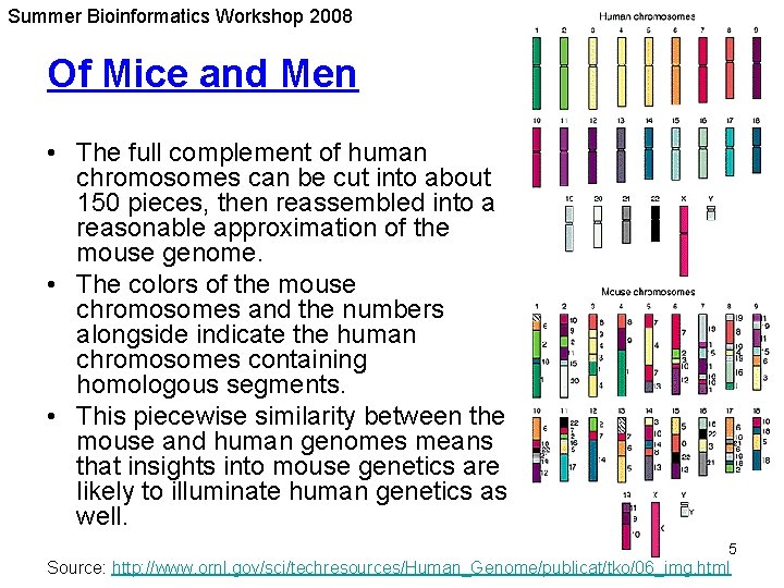 Summer Bioinformatics Workshop 2008 Of Mice and Men • The full complement of human Summer Bioinformatics Workshop 2008 Of Mice and Men • The full complement of human