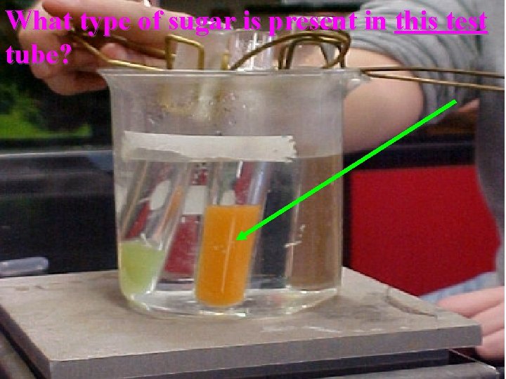 What type of sugar is present in this test tube? Saccone Powerpoint 