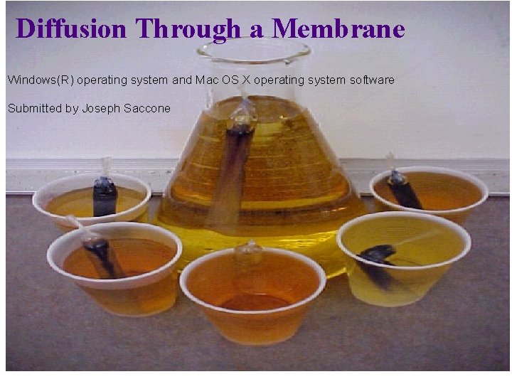 Diffusion Through a Membrane Windows(R) operating system and Mac OS X operating system software