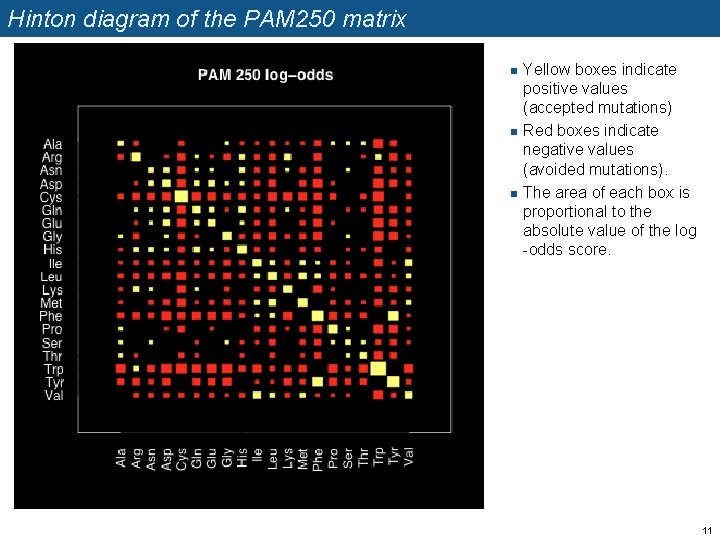 Hinton diagram of the PAM 250 matrix n n n Yellow boxes indicate positive