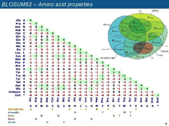 BLOSUM 62 – Amino acid properties 18 