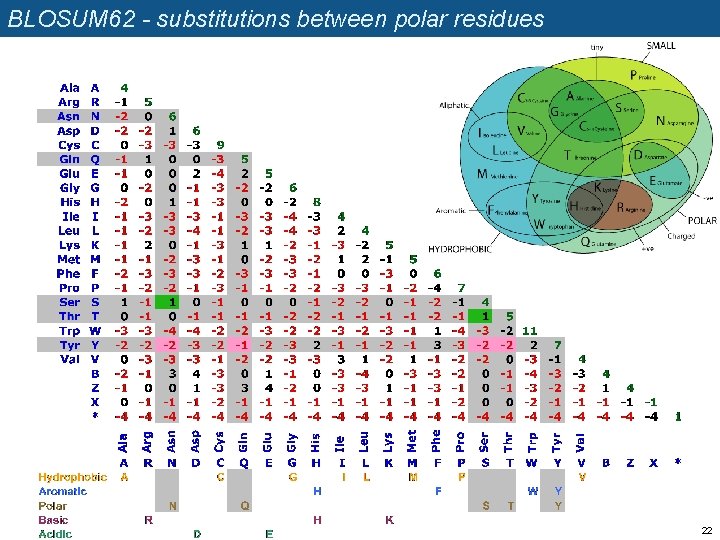 BLOSUM 62 - substitutions between polar residues 22 