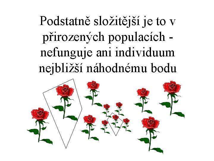 Podstatně složitější je to v přirozených populacích nefunguje ani individuum nejbližší náhodnému bodu 