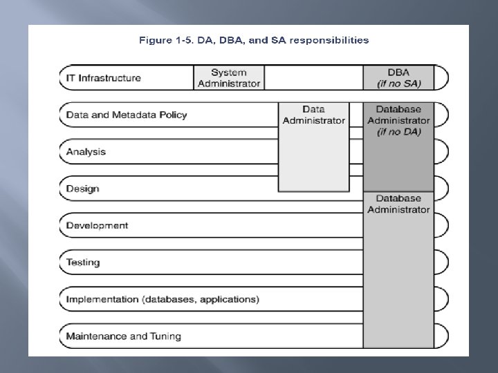 Database Administrator 