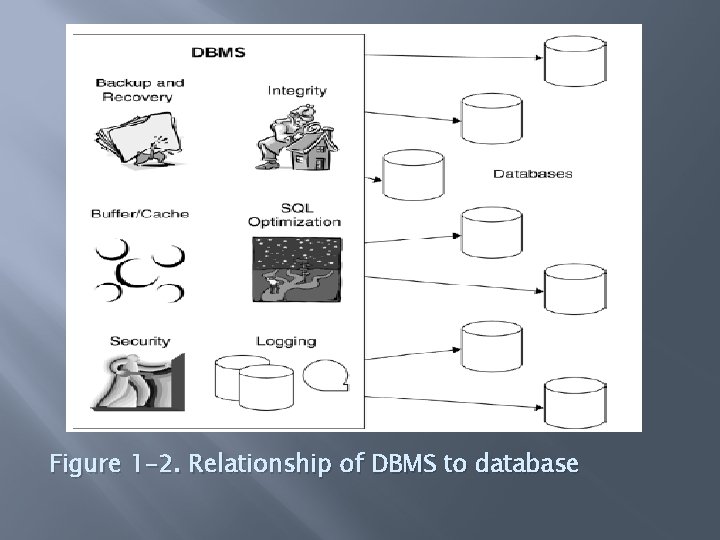 Figure 1 -2. Relationship of DBMS to database 