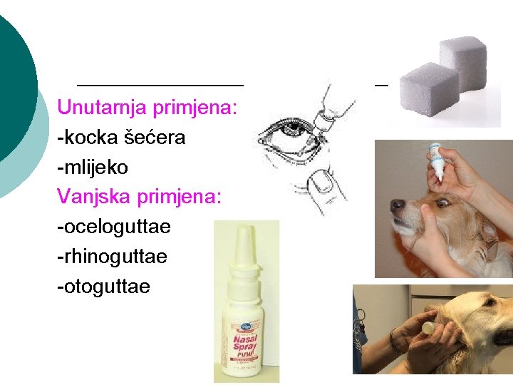 Unutarnja primjena: -kocka šećera -mlijeko Vanjska primjena: -oceloguttae -rhinoguttae -otoguttae 