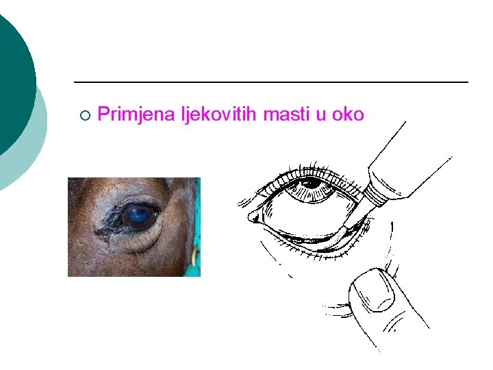 ¡ Primjena ljekovitih masti u oko 