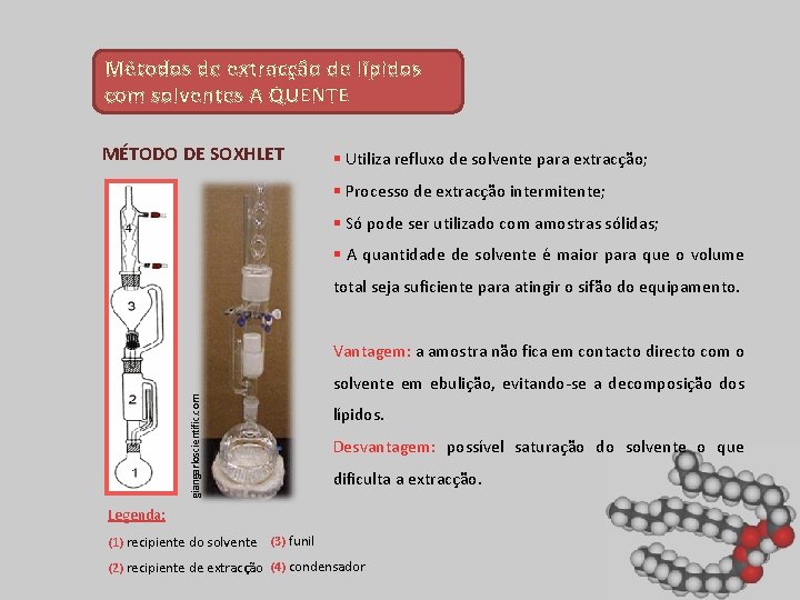 Métodos de extracção de lípidos com solventes A QUENTE MÉTODO DE SOXHLET § Utiliza