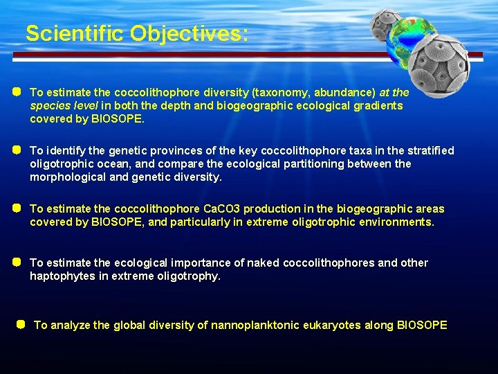 Scientific Objectives: To estimate the coccolithophore diversity (taxonomy, abundance) at the species level in
